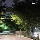 마왕족발 거창점 | [4#] 초가 다 타기 전에 소원을 빌어야 할 것 같은데