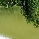 도잠서원 이미지