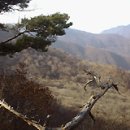 팔당역 예봉산[팔당-3] 이미지