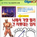 뇌를 활성화 시키는 비밀의 문~~ 엄지 발가락 이미지