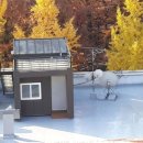 영등포구 당산1동주민센터 이미지