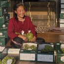 이영호 농장 이미지