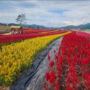 25년 10월 8일 수요일 번개산행 철원군 &#34;고석정&#34; ^^ 이미지