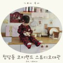 애견랜드 | 청당동 코지랜드 애견유치원&amp;호텔 스튜디오 대관 후기