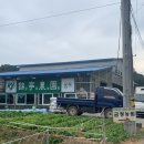 금정알밤농원 | 공주 밤줍기 체험하러 금정알밤농원 다녀온 후기
