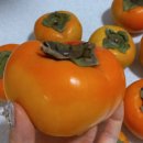 부유마트 이미지