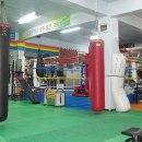 스타체육관 이미지