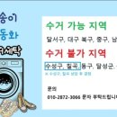 뽀송이 운동화 세탁 이미지