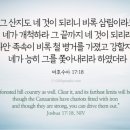 가나안 ITS