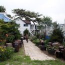 한울다솜 이미지