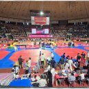 강철태권도 이미지