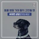 친구가 될 동물병원 이미지