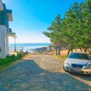 스테이코스트1 이미지