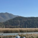 향촌민박 | 순천여행 1박2일 코스 총정리｜순천만·국가정원·와온해변 노을·낙안읍성 숙박까지