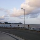 테크텍코리아 이미지