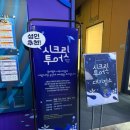 매일월드투어 | 롯데월드 아쿠아리움 시크릿 투어 후기｜직접 가본 솔직 후기 + 가격·내용 정리