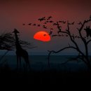 루카 Luca 이미지