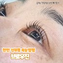 우진빌딩 | [천안 속눈썹펌] 신부동 속눈썹펌 2인 동반 가능한 브로우진 노글루 속눈썹펌 후기