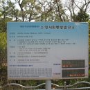 수영시민햇빛발전소 이미지