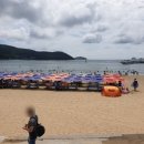 모래숲 펜션 이미지