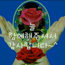 두정극동@ Daum카페