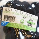 띵까띵까 이미지