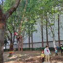 서재아이숲유치원 이미지