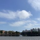 백호게임장 | [DaNang] 다낭 여행 @빈원더스 남호이안 사파리