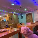 실내포장마차식당 이미지