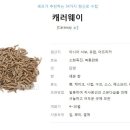 씨드(SEED)