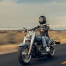 샤크빌리어드 이미지