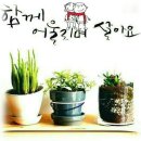 창산경로당 | [사회복지실천]노래와함께하는 오이리트미체조 및 힐링건강율동 다누리사랑나눔