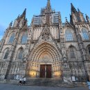 판쵸스 | 바셀 제대로 여행하는 꿀팁! 바르셀로나 투어 3가지 :: 고딕지구/보른지구/야경투어/미식투어