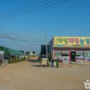 아르보리아파크 캠핑장 이미지