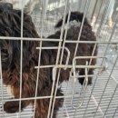 공단1로 이미지