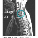 신평 무예킥 이미지