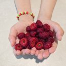 지석농장 이미지