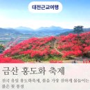 금마면 가야마을회관 | 금산 홍도화 축제 언제 가야 예쁠까? 주차 포토존