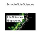 고구마떡의 Yale BBS Direct Ph.D. 합격 후기