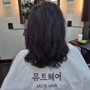 일산동 학원가 | 일산동 미용실, 일산 손상모 클리닉 잘하는 뮤트헤어