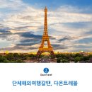 다온여행사 이미지