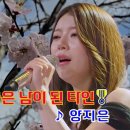 지금은 남이 된 타인 - 양지은 이미지