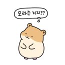 부자슈퍼 네이버블로그