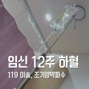 완산-119 | 임신12주 하혈로 119 이송, 조기양막파수 입원후기