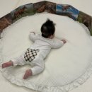 병풍사 | 내돈내산 아기병풍 i100병풍사용후기 세이펜호환되는아기병풍 출산선물추천