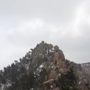석도진 이미지
