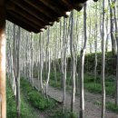 더나무숲 오마이뉴스