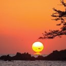 와이컴머스 이미지