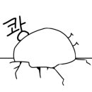 쭈꾸미본가 이미지