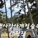 백사장사계절숲속야영장 이미지